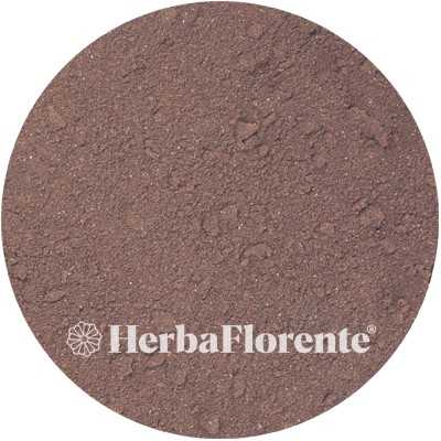 Apfelbeere - Arnoia melanocarpa