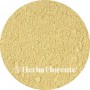 Ginseng (Panax) - Ginseng