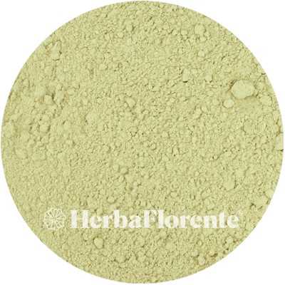 Eibisch - Althaea officinalis