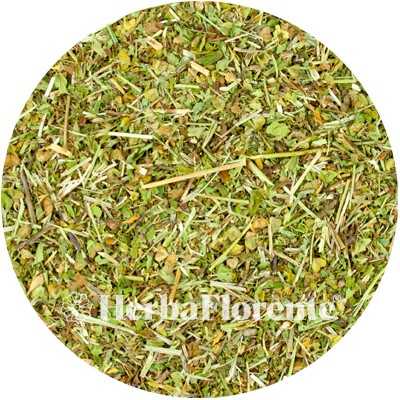 Ehrenpreis - Veronica officinali
