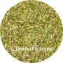 Mannetjesereprijs - Veronica officinalis