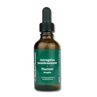Astragalus Tincture - Astragalus membranaceus Tincture