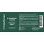 Meadowsweet Tincture - Filipendulae ulmaria Tincture