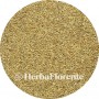 Anise - Pimpinella anisum