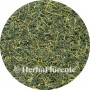Onsterfelijkheidskruid (Jiaogulan) - Gynostemma pentaphyllum
