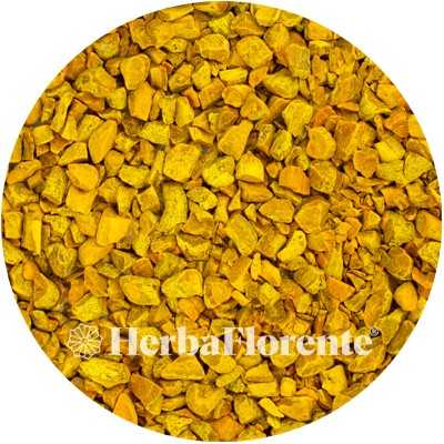 Curcuma long. (Geelwortel) Wortel Gesneden - Curcumae longae Rhiz. Conc.