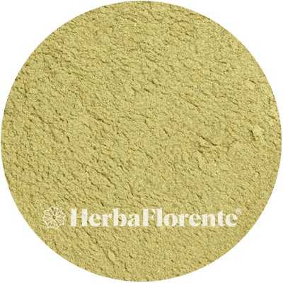 Alsemkruid Kruid Gemalen - Artemisia absinthium Hb. Pulv.