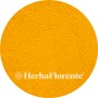 Tumeric long. - Curcumae longae