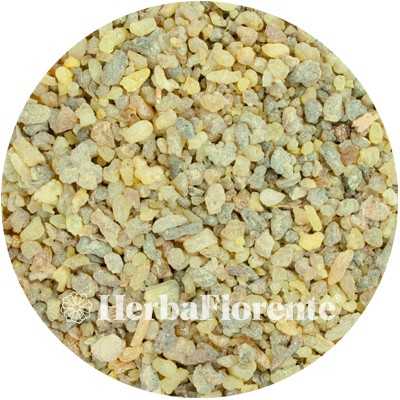 Indische Wierook Hars Gesneden - Boswelia serrata Olibanum Gummi.