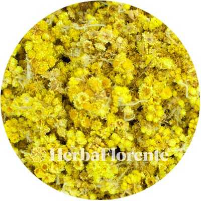 Kattenpoten Bloem Gesneden - Stoechados (Gnaphalium arenarium) Flor. Conc.