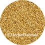 Coriandre - Coriandrum sativum - Entières