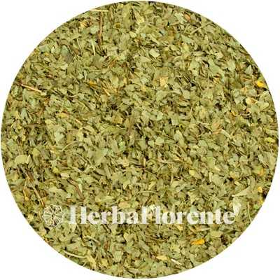 Parsley - Petroselini - Cut
