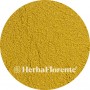 Cumin - Cuminum cyminum