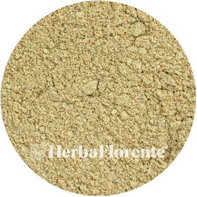 Milk Thistle (Seed) - Sylibum marianum, Cardui Mariae
