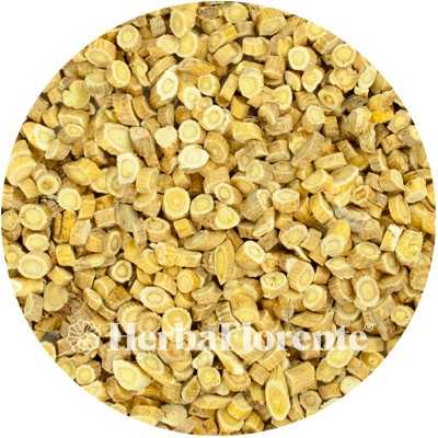 Astragalus - Astragalus chinensis membranus - Cut