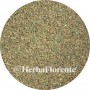 Seaweed Fine - Fucus vesiculosus