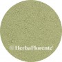 Weegbree Smal Kruid Gemalen - Plantaginis lanceolata Hb. Pulv.